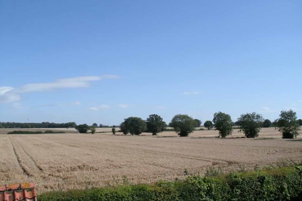 Yaxham Mill Panzió Dereham Kültér fotó